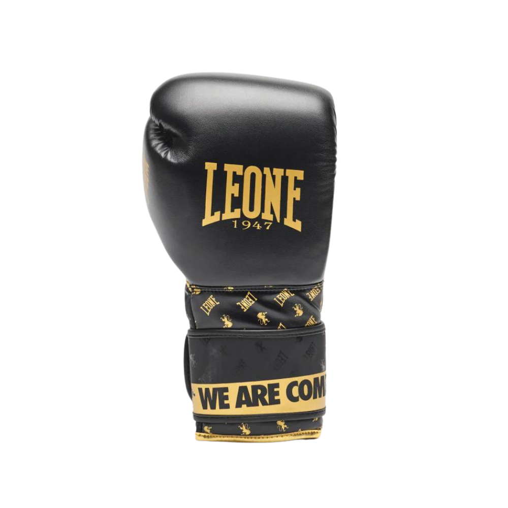 Guantoni Boxe Leone 1947 DNA